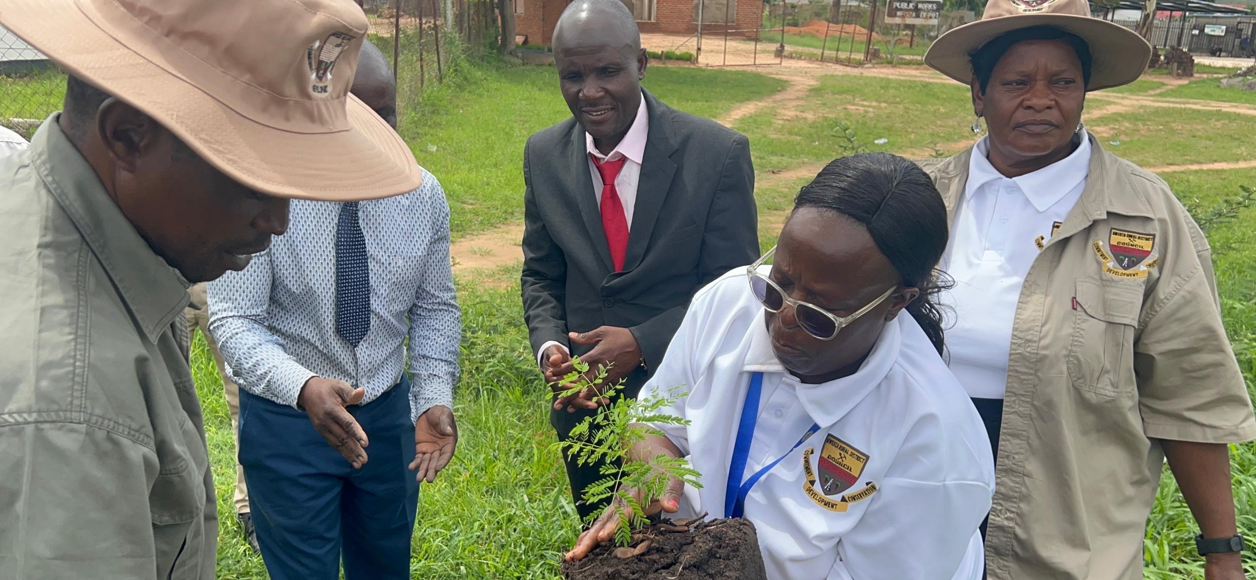 A community development project